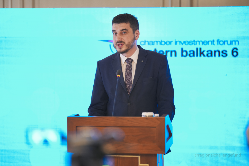 Mr. Taultant Kelmendi, Deputy Minister of Education, Science, Technology and Innovation